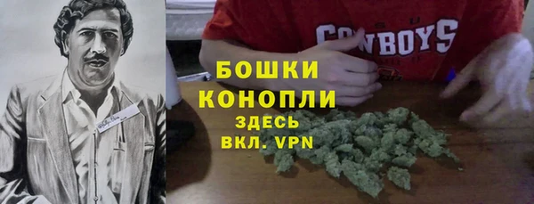 молекула духа Покровск