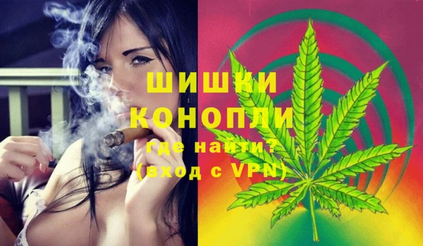 молекула духа Покровск