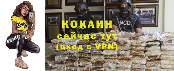 дживик Пестово