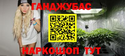 стафф Бийск