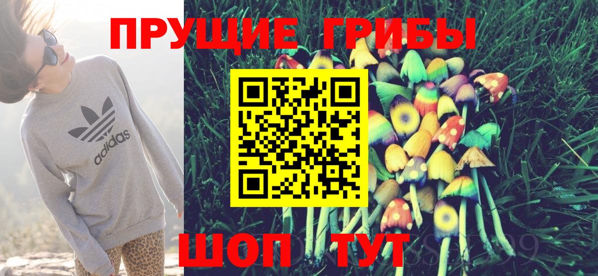 Галлюциногенные грибы GOLDEN TEACHER  Вход с VPN  Фролово 