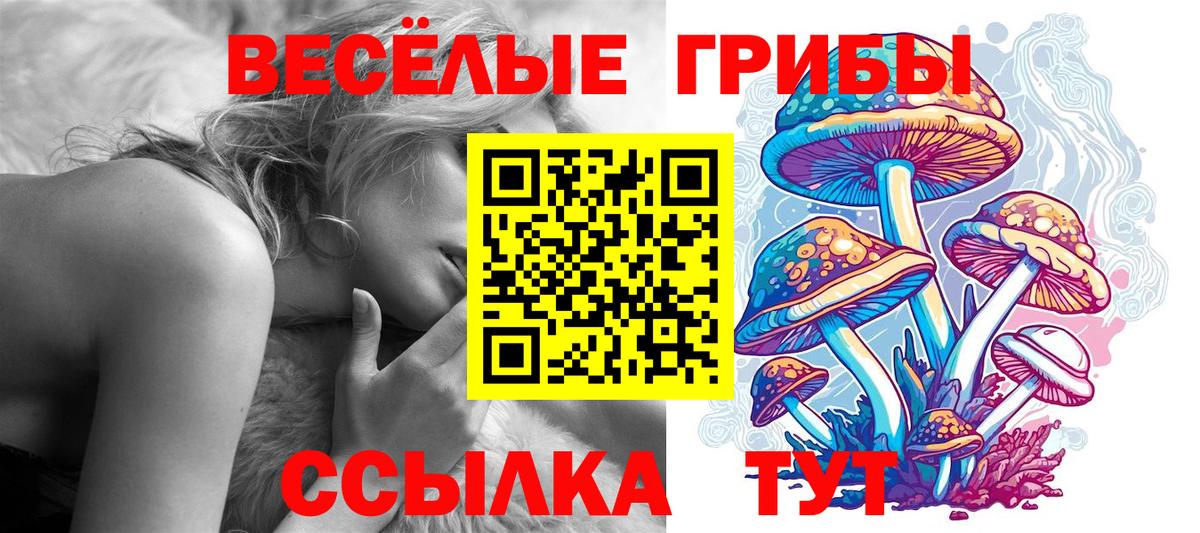 Псилоцибиновые грибы Psilocybine cubensis  Фролово 