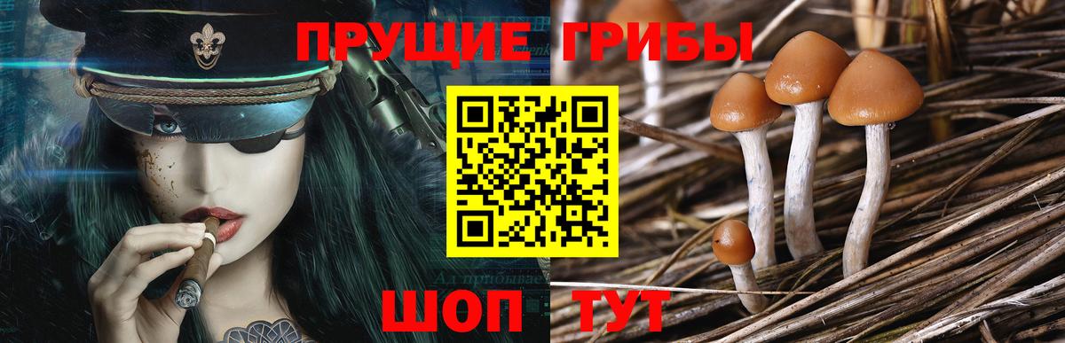 Псилоцибиновые грибы ЛСД Фролово
